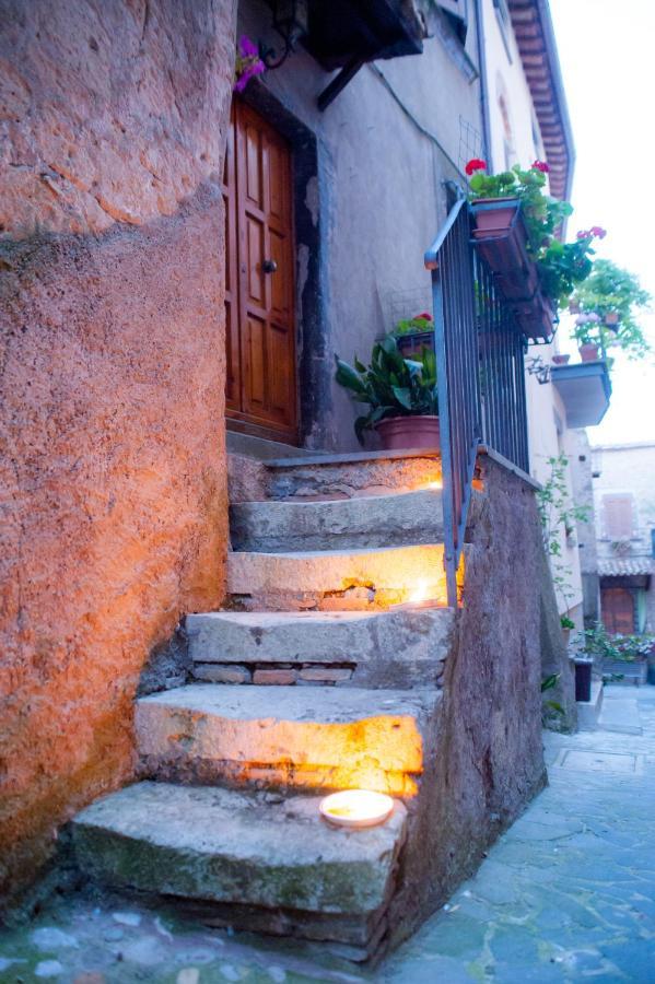 Casa Flora Villa Civitella dʼAgliano Екстериор снимка