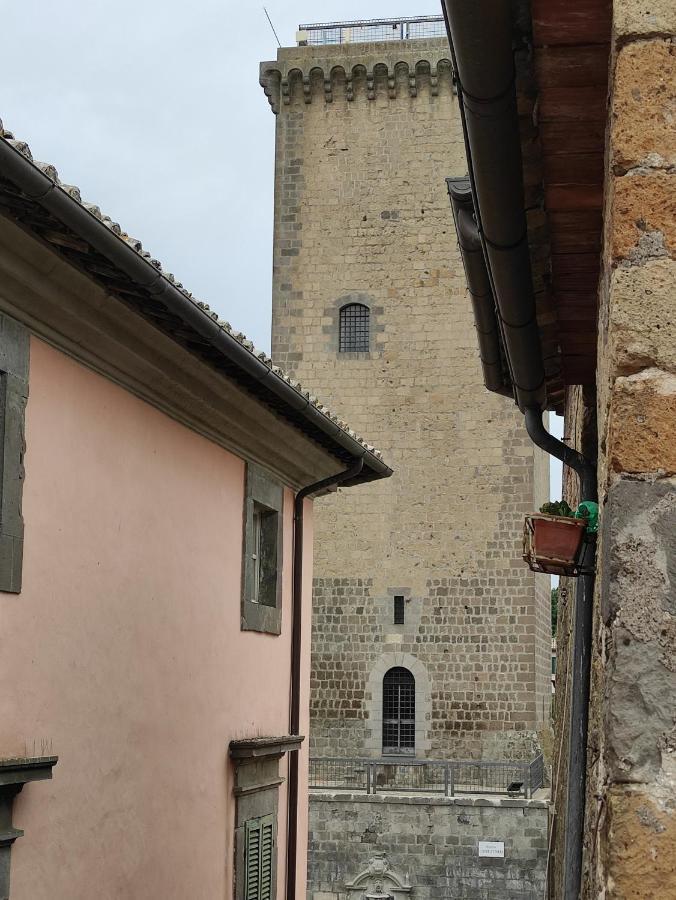 Casa Flora Villa Civitella dʼAgliano Екстериор снимка